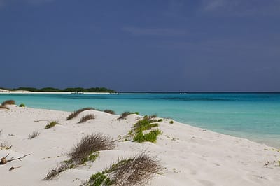 Safety in Los Roques