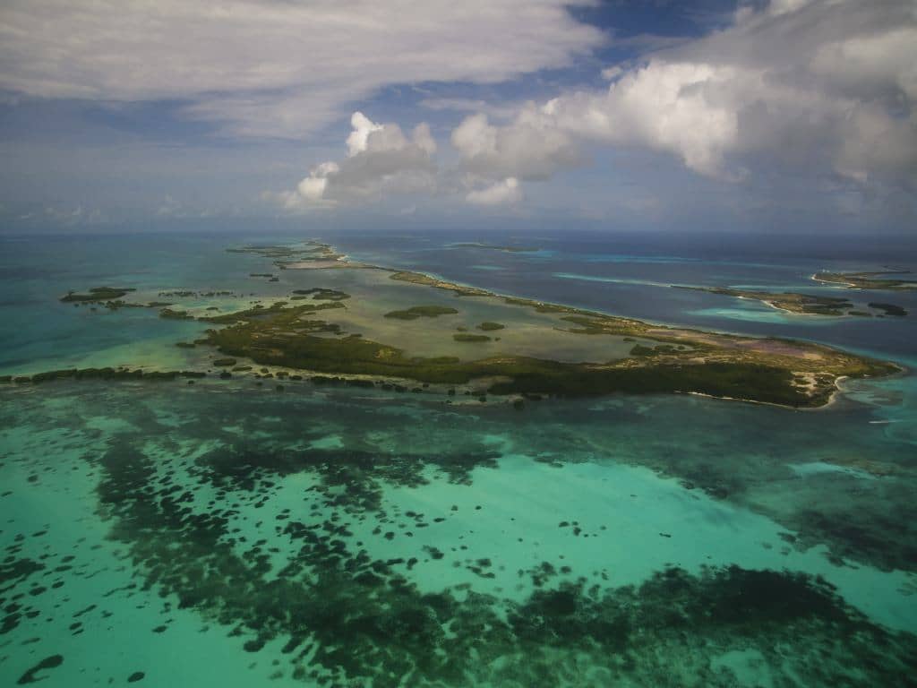 Nature in Los Roques